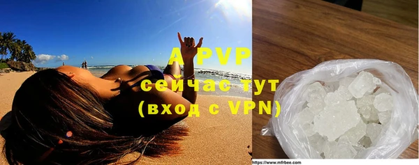 индика Зерноград