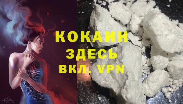 индика Зерноград