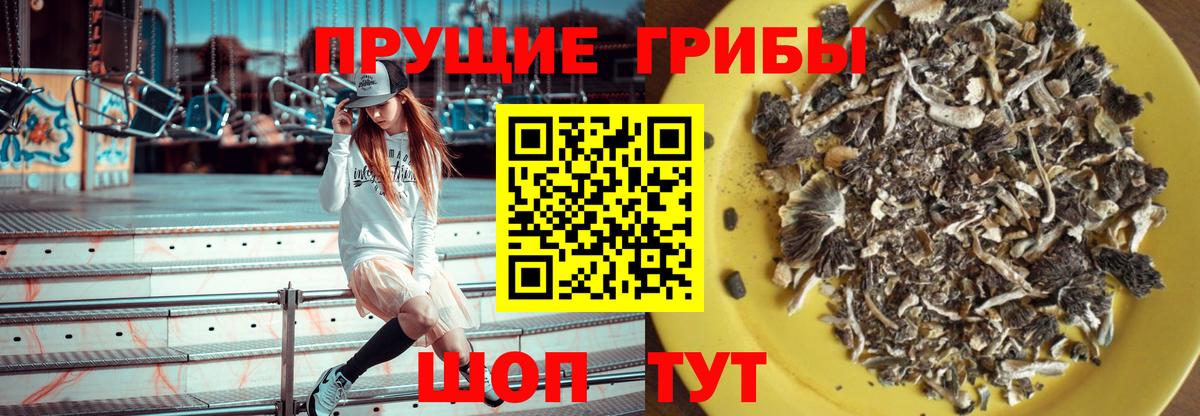 Галлюциногенные грибы Cubensis Ивантеевка
