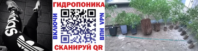 Канабис Amnesia Ивантеевка
